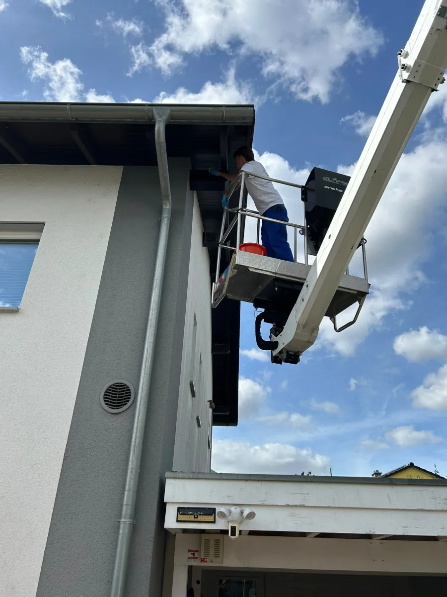 ComPass Schädlingsbekämpfung im Einsatz