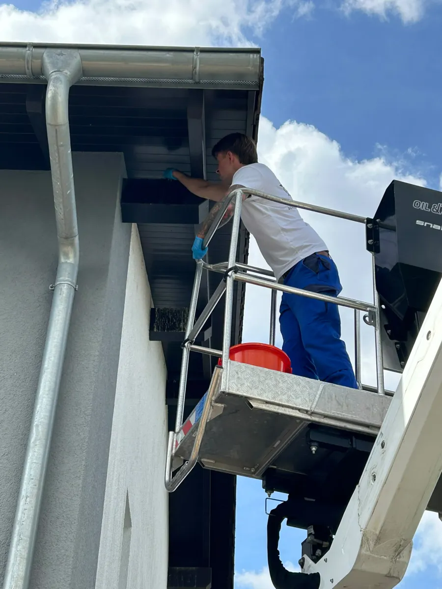ComPass Schädlingsbekämpfung im Einsatz